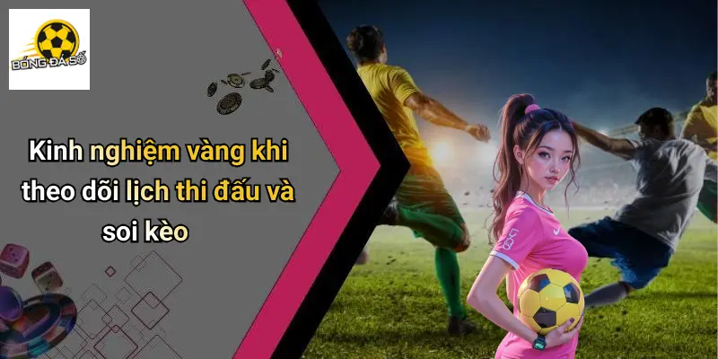 Kinh nghiệm vàng khi theo dõi lịch thi đấu và soi kèo