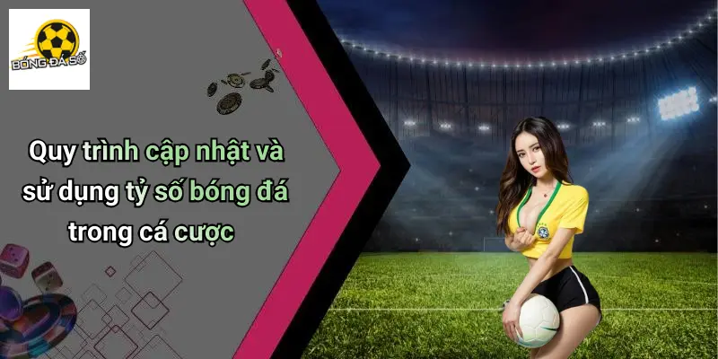 Quy trình cập nhật và sử dụng tỷ số bóng đá trong cá cược