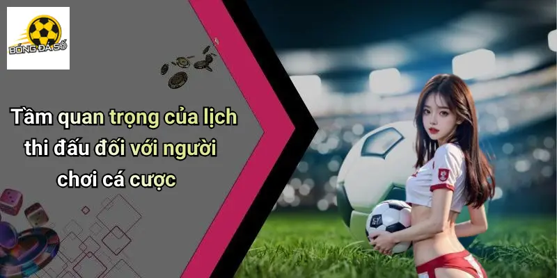 Tầm quan trọng của lịch thi đấu đối với người chơi cá cược