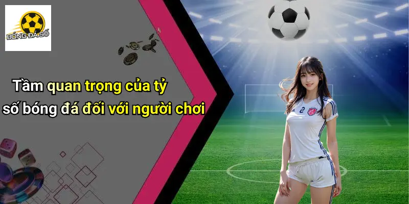 Tầm quan trọng của tỷ số bóng đá đối với người chơi