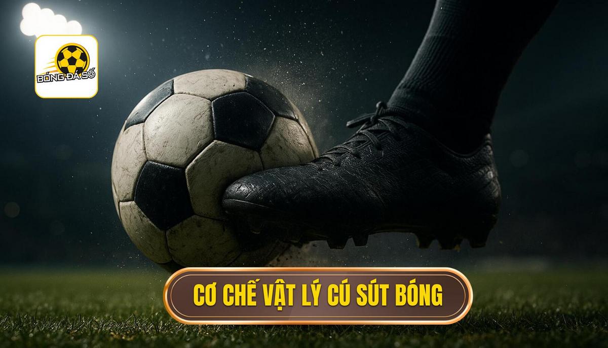 Bản chất và cơ chế vật lý của cú sút bằng đầu ngón chân