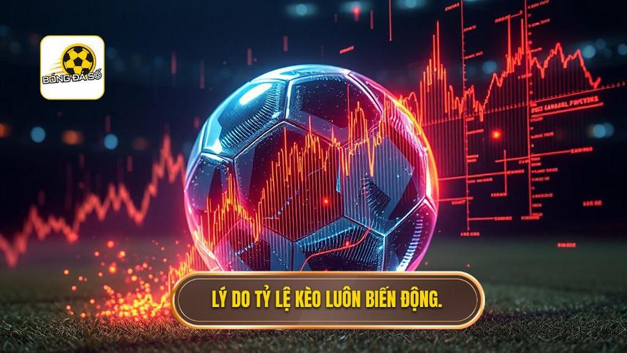 Phân tích đa chiều: Tại sao tỷ lệ kèo bóng đá trực tuyến luôn biến động?
